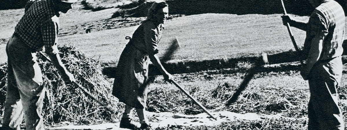 La trebbiatura