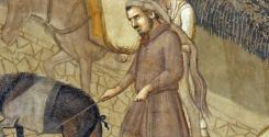 Il maiale di S. Antonio
