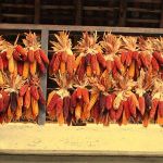 L’essicazione del mais in Lombardia