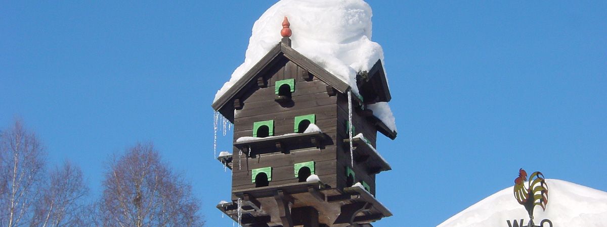Proteggere gli animali dal freddo