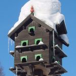 Proteggere gli animali dal freddo