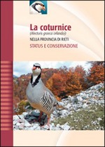 La coturnice (Alectoris graeca orlandoi) nella Provincia di Rieti