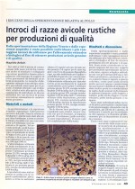 Incroci di razze avicole rustiche per produzioni di qualità