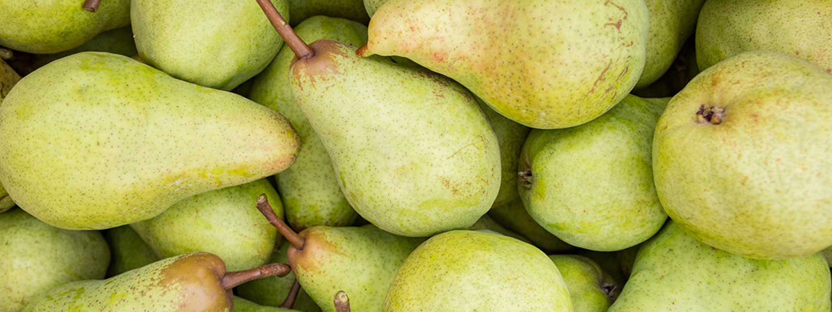 Frutteti casalinghi, di speculazione e sperimentali in Polesine