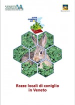 Razze locali di coniglio in Veneto