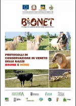 Protocolli di conservazione in Veneto delle razze bovine e ovine