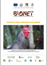 Razze di polli impiegate in Veneto