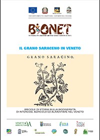 Il Grano Saraceno in Veneto