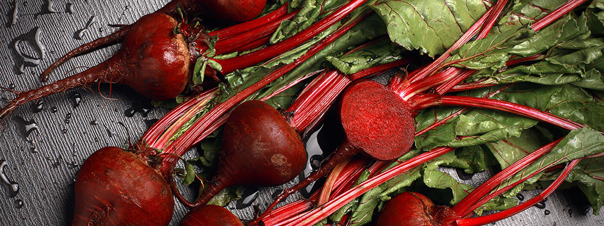 Orticoltura litoranea e lagunare nella zona di Chioggia