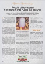 Regole di benessere nell’allevamento rurale del pollame