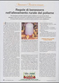 Regole di benessere nell’allevamento rurale del pollame