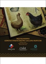 Mejoramiento genetico partecipativo Gallina Mapuche