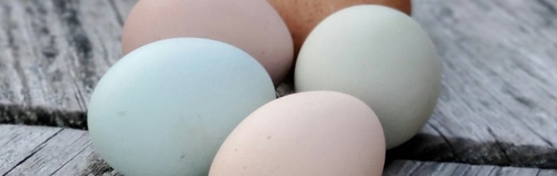 Produzione di uova: numero e peso