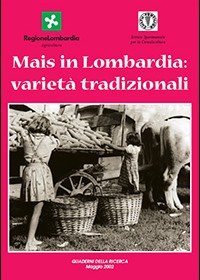 Mais in Lombardia: varietà tradizionali
