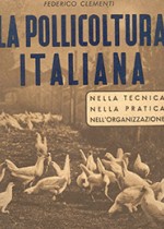 La pollicoltura italiana