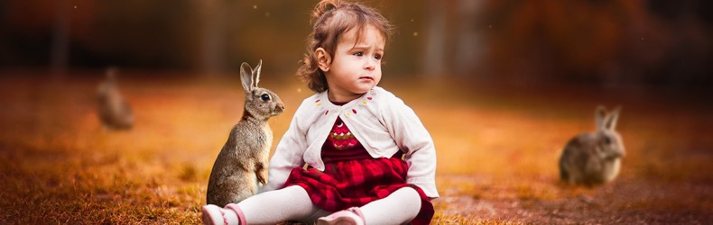 Il coniglio nella pet therapy 