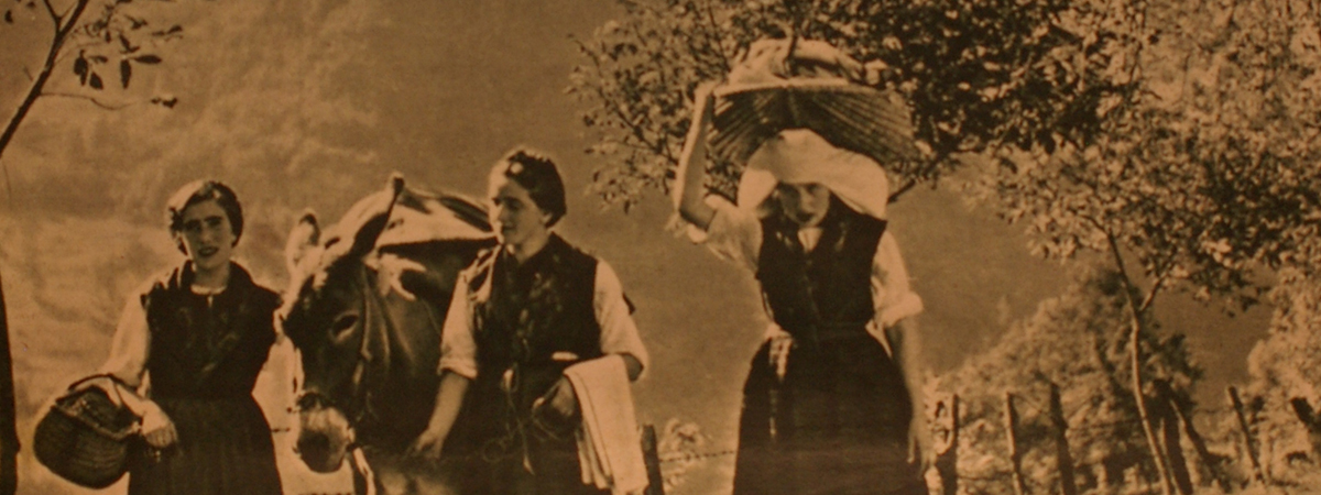 Ritorno dai campi