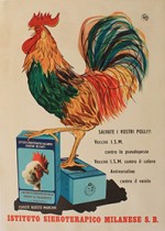 Malattie del pollame