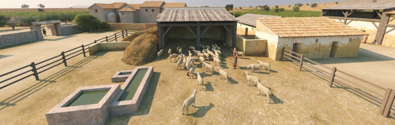 L’allevamento della pecora nel primo secolo dopo Cristo