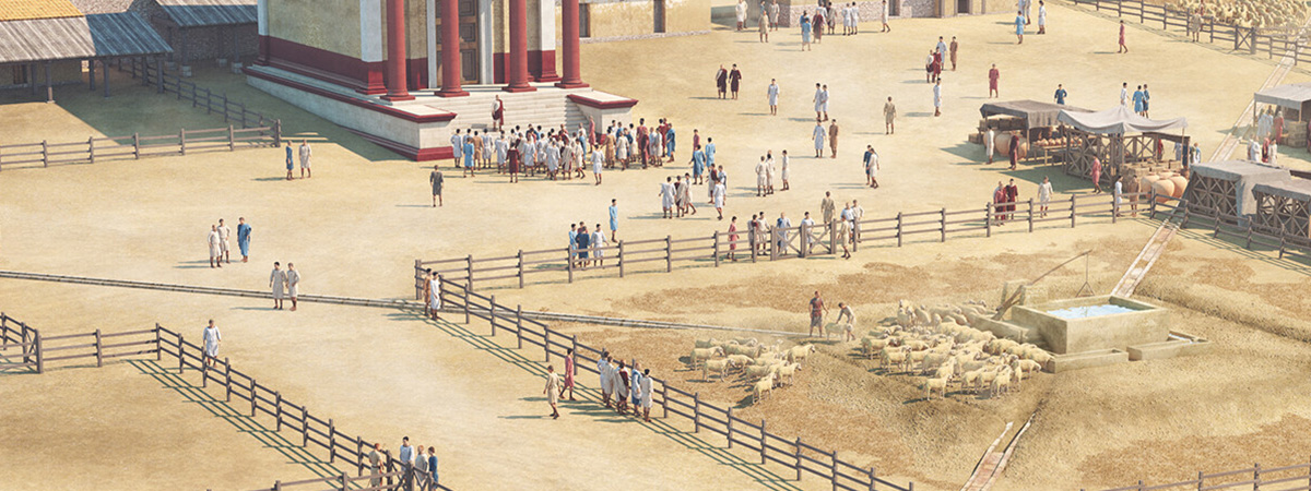 Il mercato delle pecore nel II° secolo d.C.