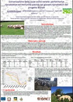 Conservazione delle razze ovine venete: performance riproduttive ed immunità passiva nei giovani riproduttori del progetto BIONET