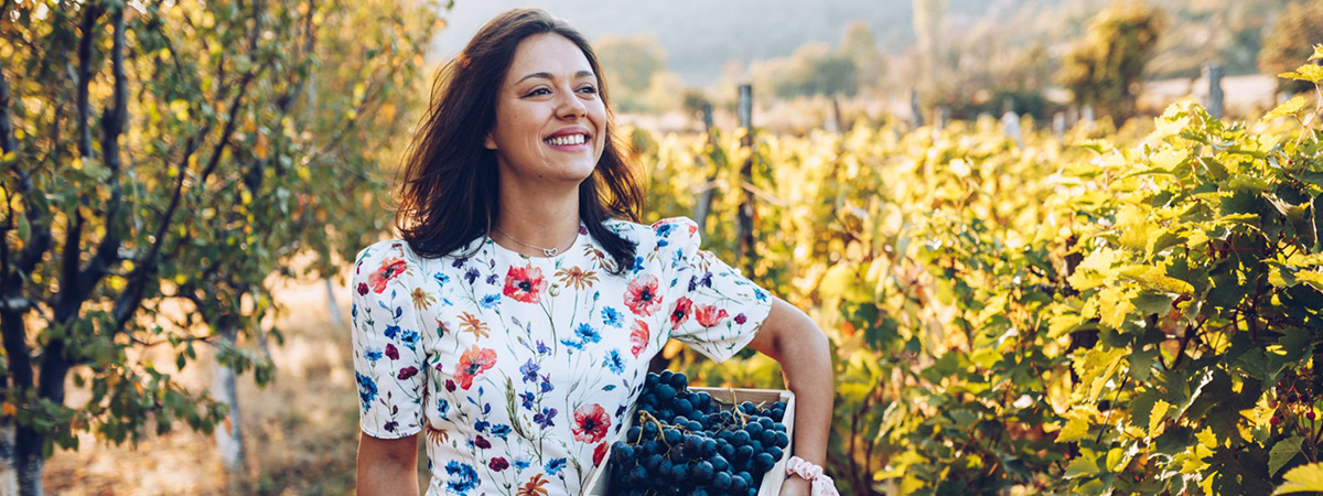 La vendemmia