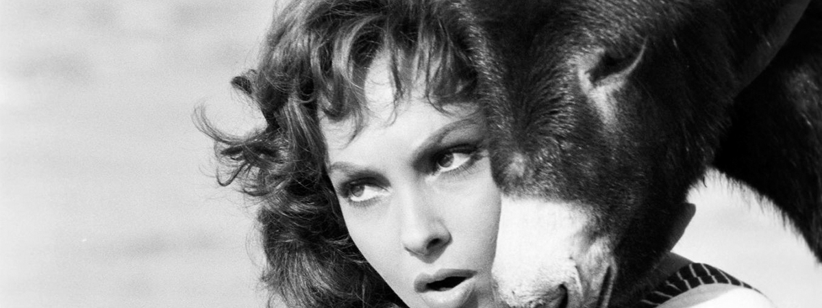 Gina Lollobrigida