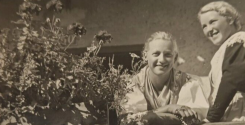 Fiori e frutta a Merano