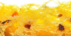 Panettone Gulp