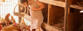 Vita in Campagna – La Fiera