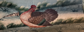 La gallina di Chatsworth House