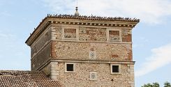 Le Grandi torri colombaie