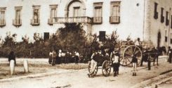 Seleavicola Lisi 1960
