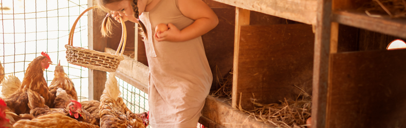 Vita in Campagna – La Fiera