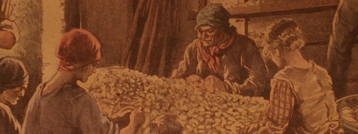 Le donne nell'allevamento del baco da seta