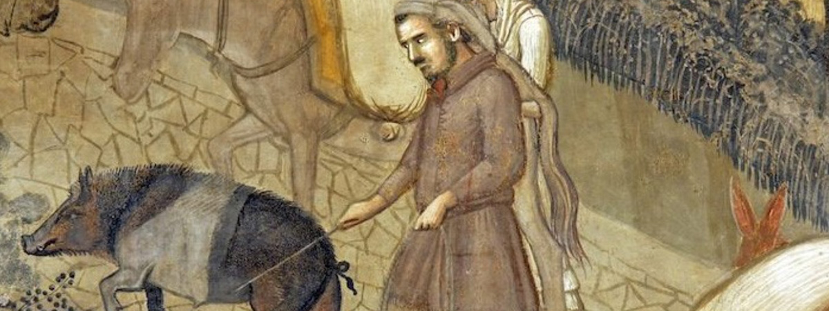 Il maiale di S. Antonio