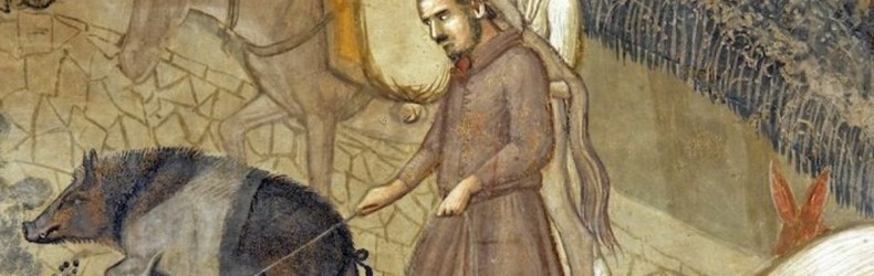 Il maiale di S. Antonio