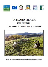 La pecora Brogna in Lessinia tra passato e presente 