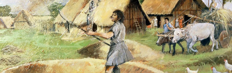 L’agricoltura nell’età del ferro
