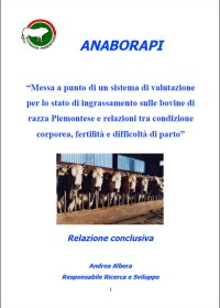 Messa a punto di un sistema di valutazione per lo stato di ingrassamento sulle bovine di razza Piemontese e relazioni tra condizione corporea, fertilità e difficoltà di parto