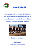 Messa a punto di un sistema di valutazione per lo stato di ingrassamento sulle bovine di razza Piemontese e relazioni tra condizione corporea, fertilità e difficoltà di parto