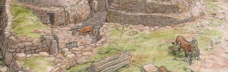 Allevatori irlandesi dell’Età del Ferro
