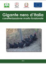 Gigante nero d’Italia - caratterizzazione morfo-funzionale
