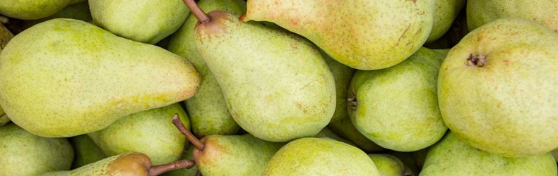 Frutteti casalinghi, di speculazione e sperimentali in Polesine