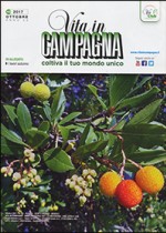 Galline ovaiole: riparo dal freddo e miscela alimentare “fatta in casa”