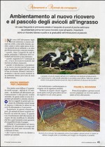 Ambientamento al nuovo ricovero e al pascolo degli avicoli all’ingrasso