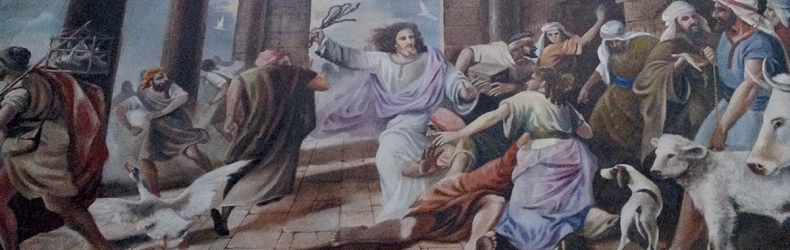 Le oche dell'Alpago