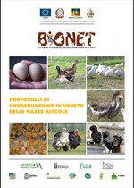 Protocolli di conservazione in Veneto delle razze avicole