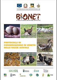 Protocolli di conservazione in Veneto delle razze avicole