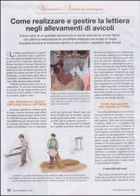 Come realizzare e gestire la lettiera negli allevamenti avicoli